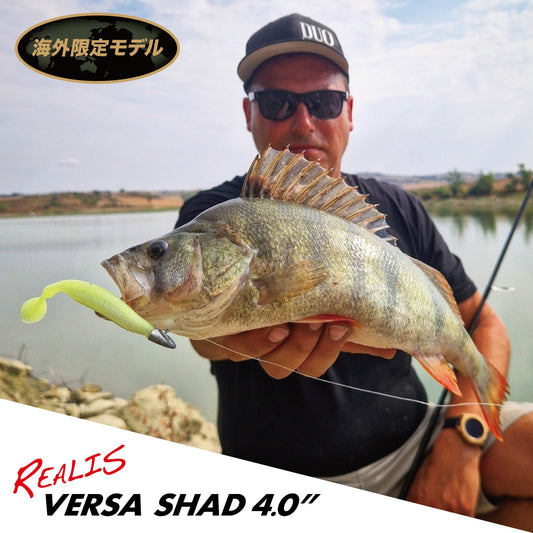 レアリス バーサシャッド4"