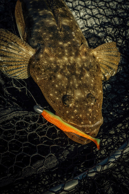 レアリス バーサシャッド3"エラストマー