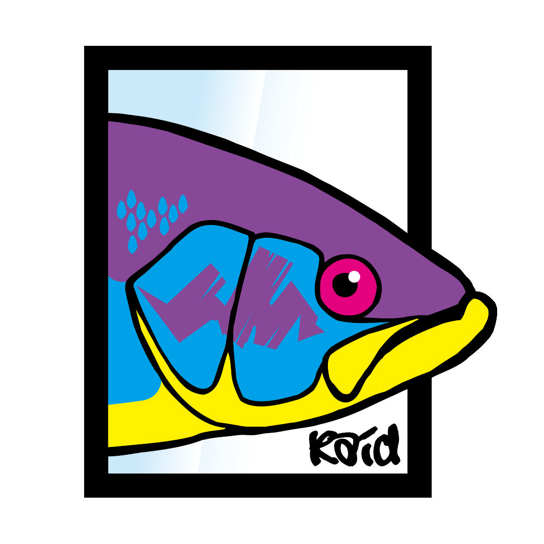 RAID JAPAN 7 STICKERS PACK Eセット