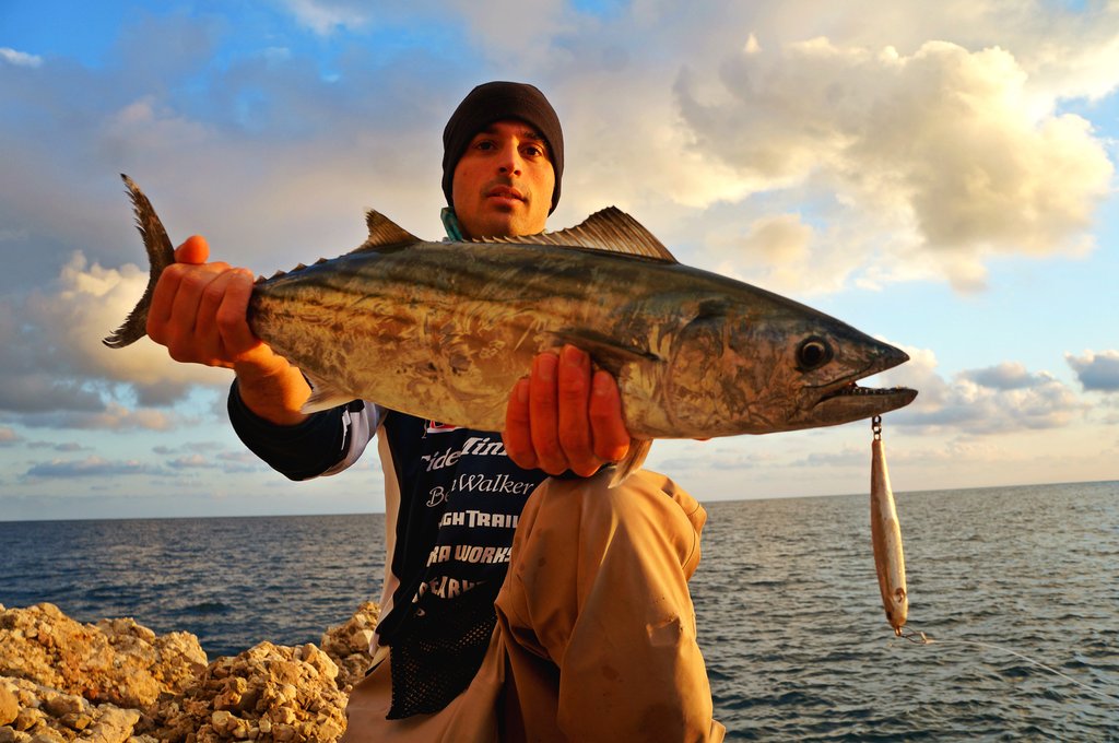 プレスベイト125HD