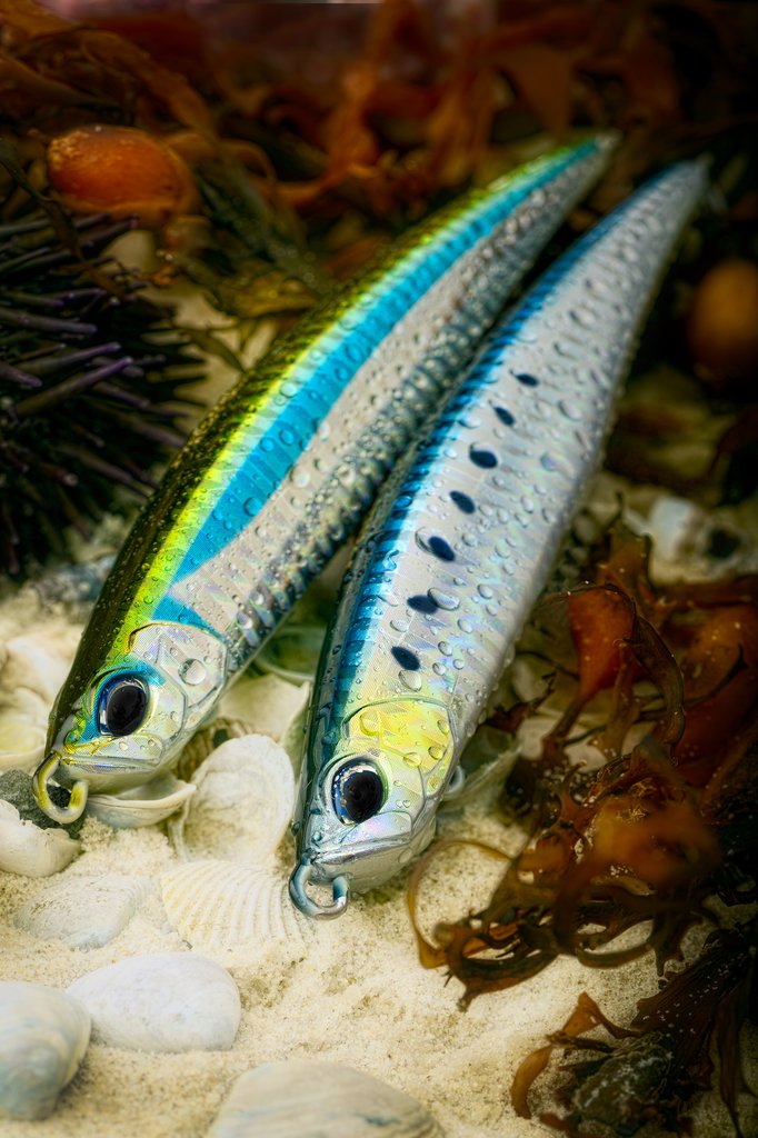 プレスベイト125HD