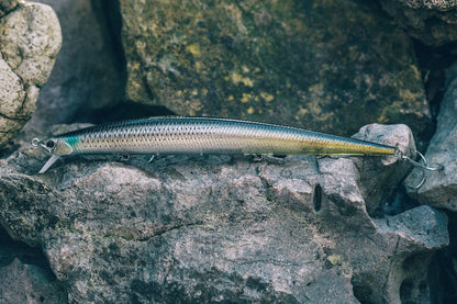 タイドミノースリム175SP