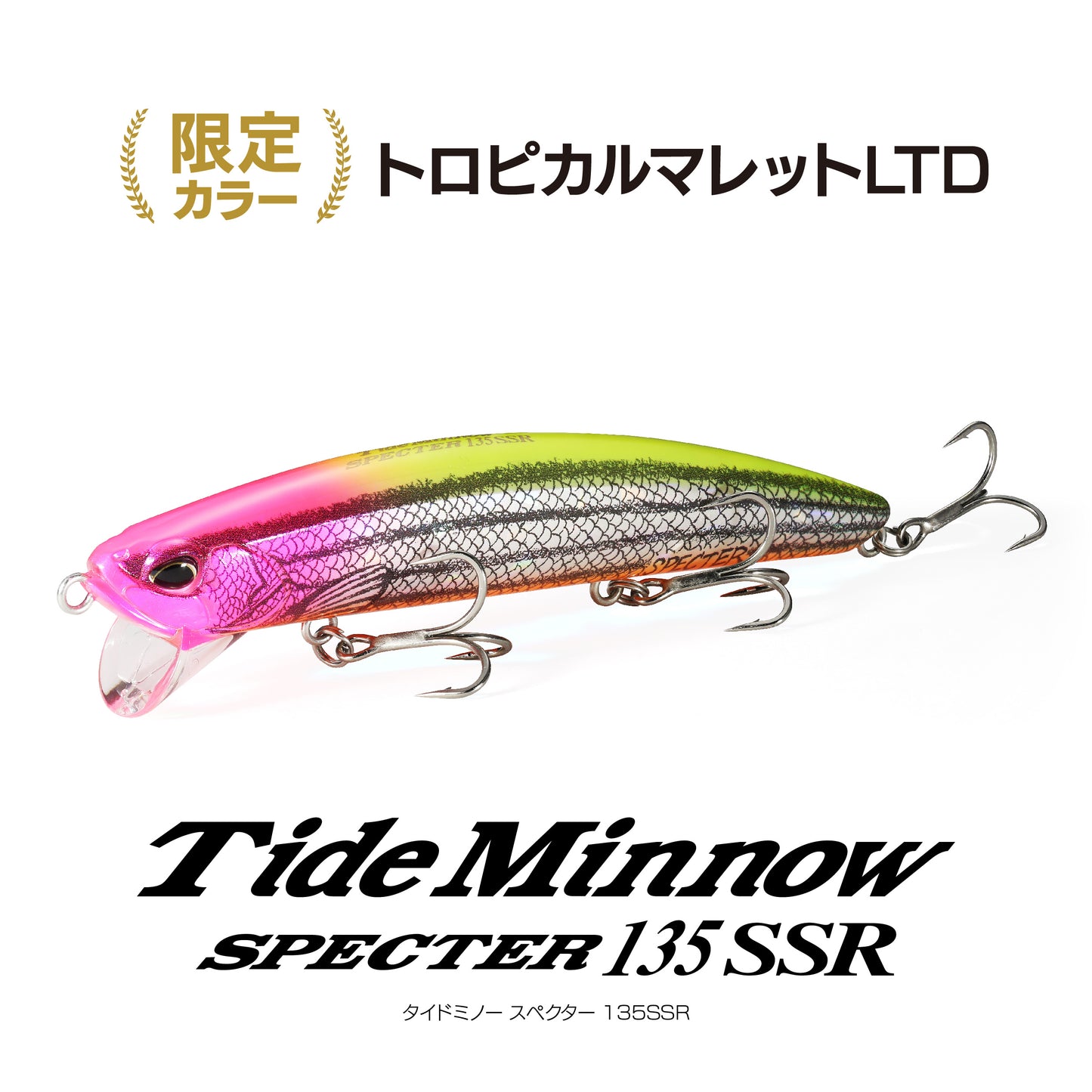 リモートシーバスバトル エントリーセット 2025